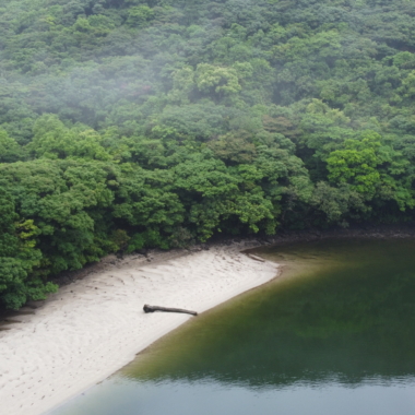 鹿児島県屋久島任務進行中
