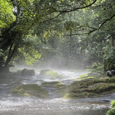 菊池渓谷　　　#熊本ロケ